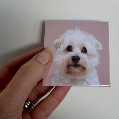 Custom Photo Magnets.