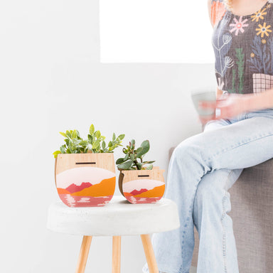 Small Indoor Planter: Cradle