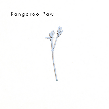 Small Kangaroo Paw: Pili Pala Posies