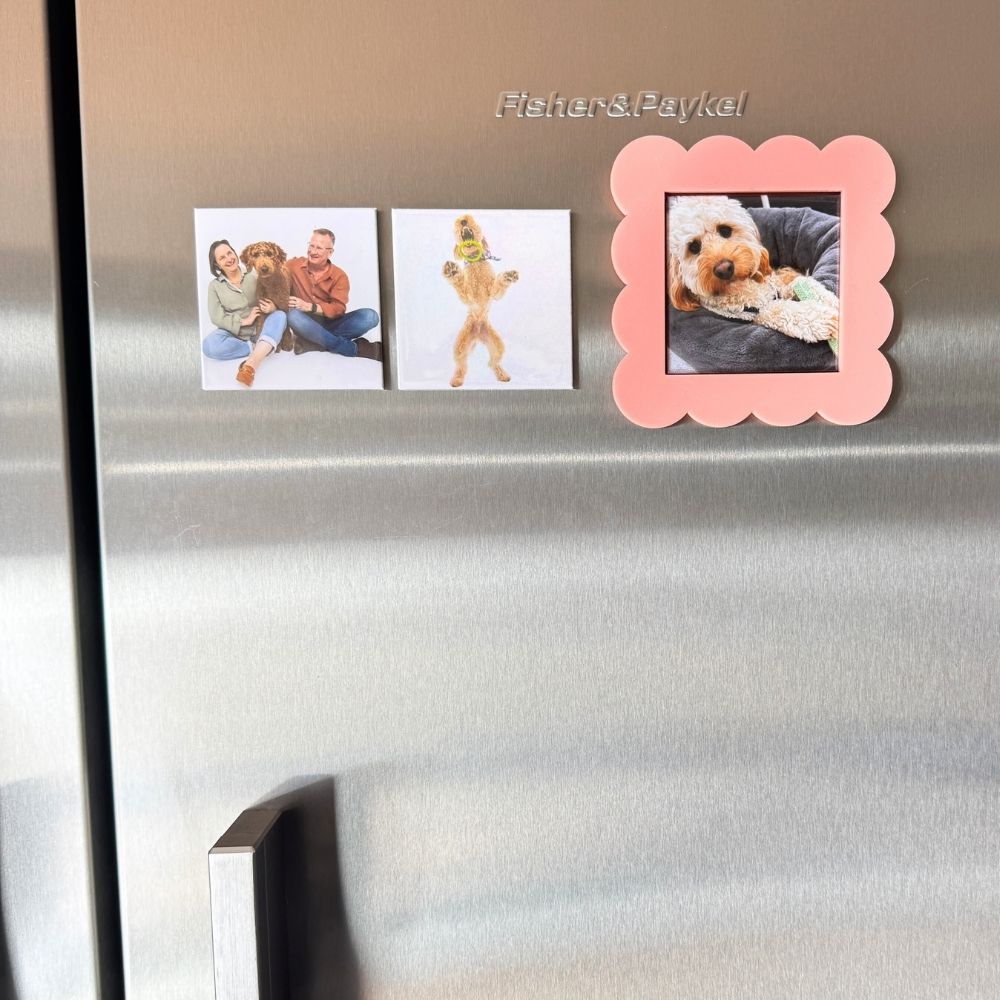 Frame Magnet: Pink