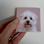 Custom Photo Magnets.