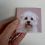 Custom Photo Magnets.