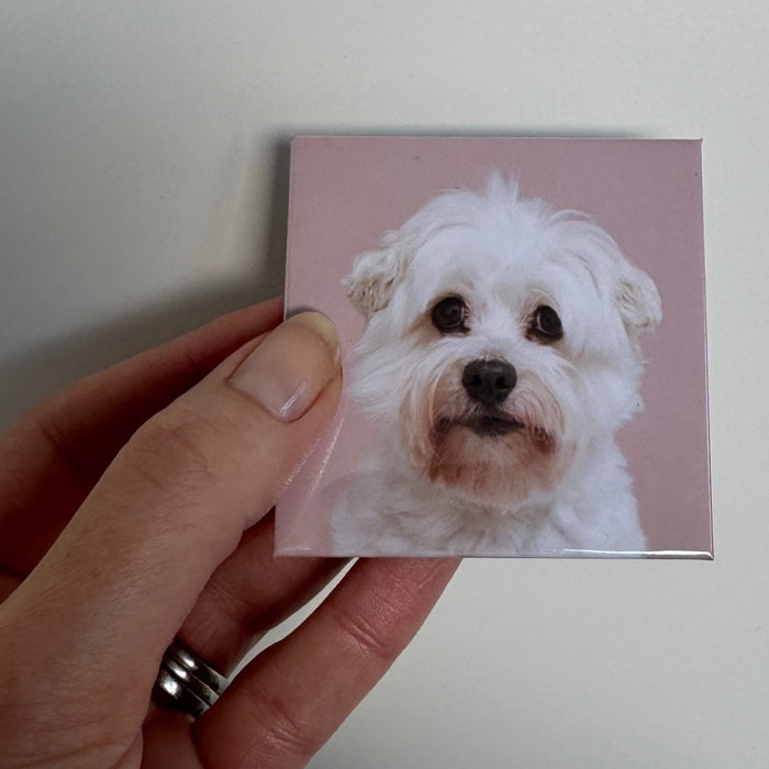 Custom Photo Magnets.