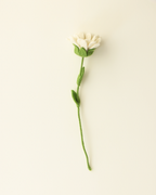 White felt daisy flower, full stem