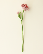 Fantasy Lily | Blush Felt Flower
