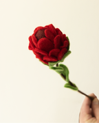A hand holds a felted wool flower stem against a plain off-white background. The flower has a deep red bloom with layered petals, a dark brown center, and green felted leaves and stem.