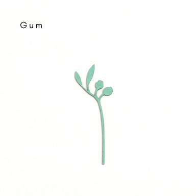 Large Gum Nut: Pili Pala Posies