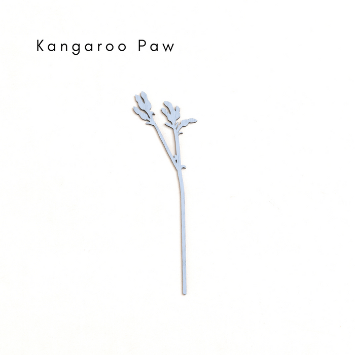 Large Kangaroo Paw: Pili Pala Posies