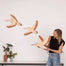 Grand Sized Pelican Pod (set of 3)
