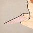 Grand Sized Pelican Pod (set of 3)