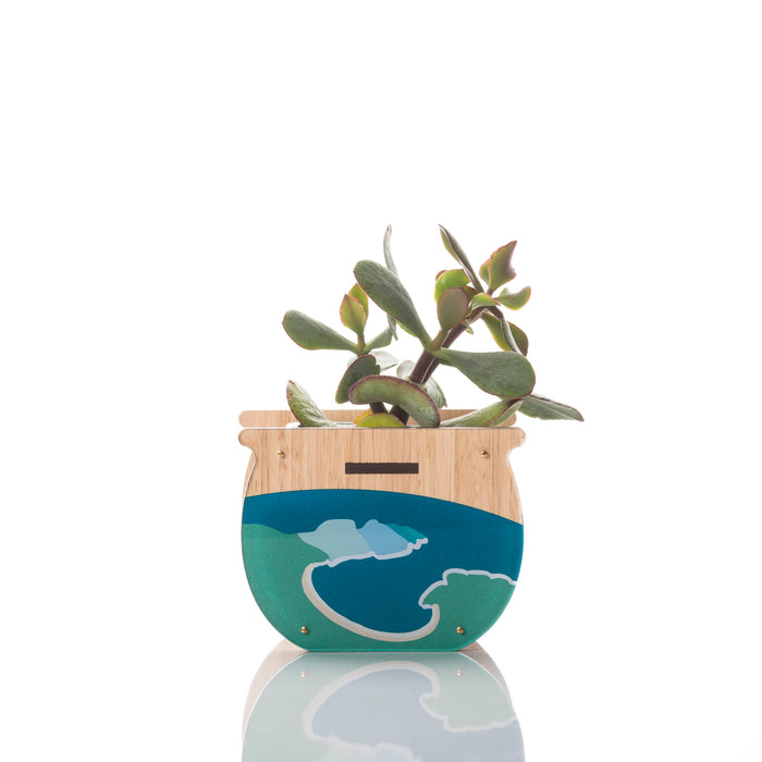 Small Indoor Planter: Wineglass