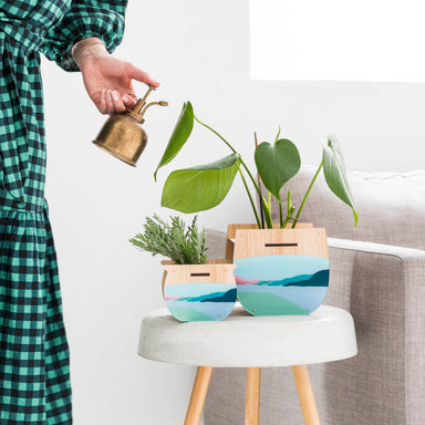 Small Indoor Planter: Peninsula