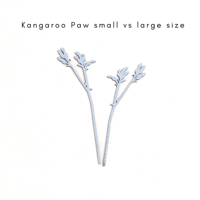 Small Kangaroo Paw: Pili Pala Posies