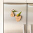 Tassie Vase Magnet - Wineglass Bay Design. Tasmanian Oak.